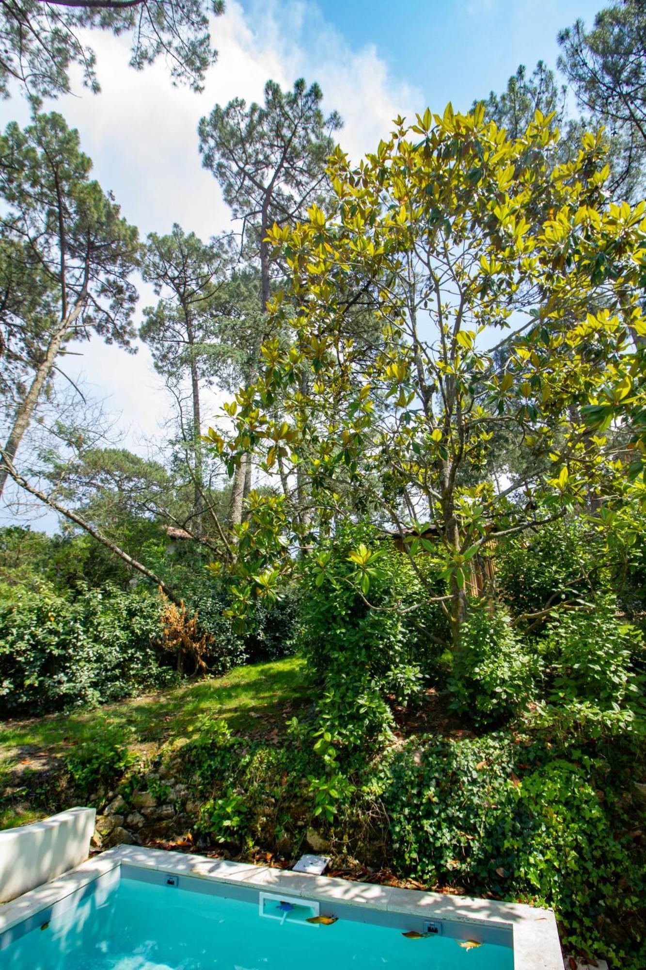 Cabane Foret Proche Plage ปีลา-ซูร์-แม ภายนอก รูปภาพ